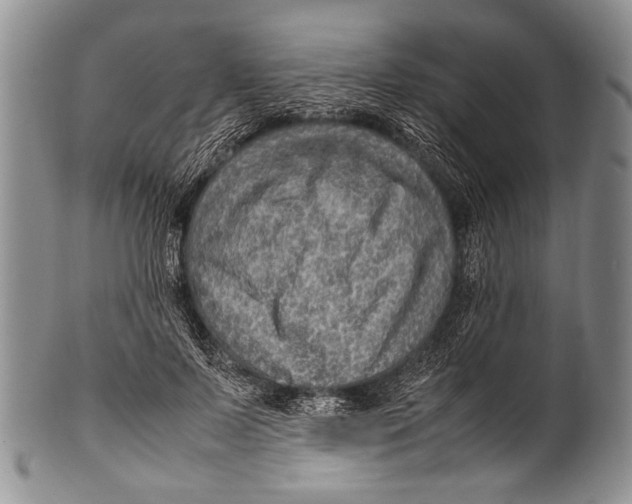 X0000100340695200806261327