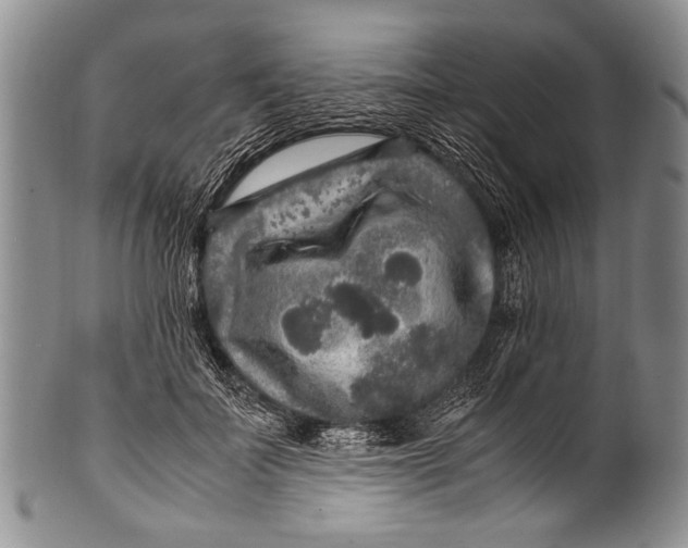 X0000100340699200806261327