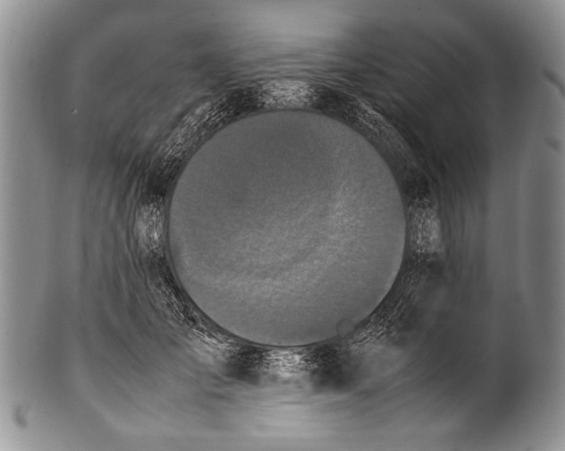 X0000100340701200806261327