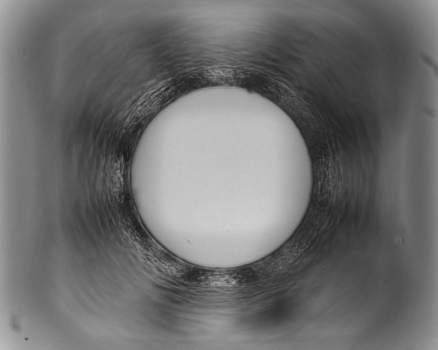 X0000100340702200806261327