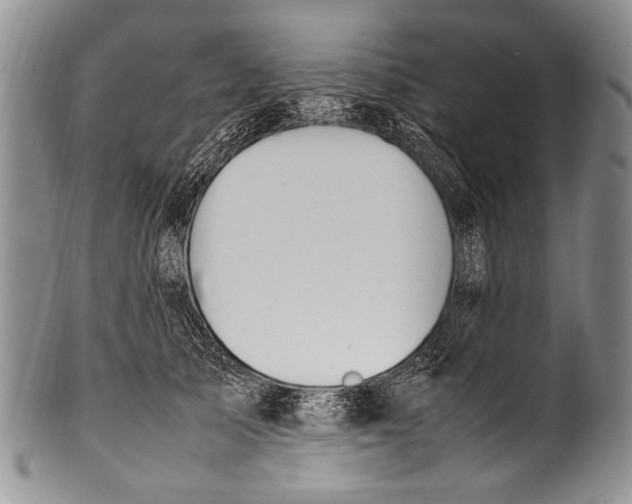 X0000100340705200806261327