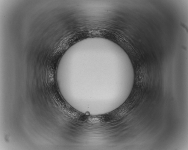 X0000100340706200806261327