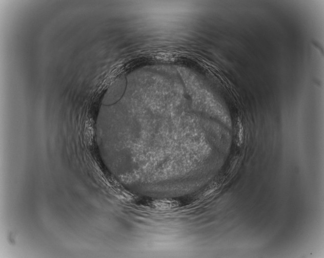 X0000100340707200806261327