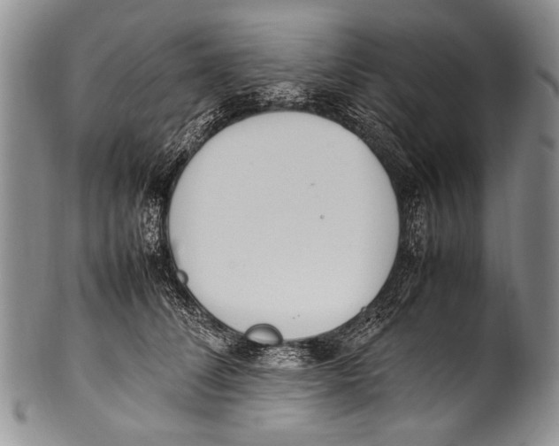 X0000100340708200806261327