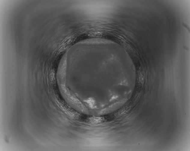 X0000100340711200806261327