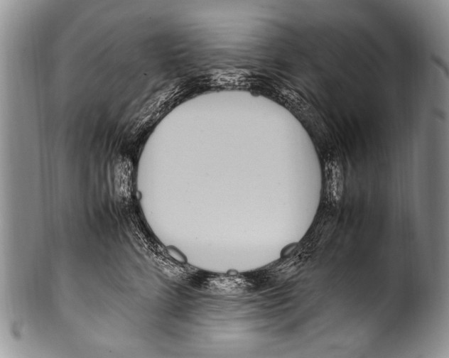 X0000100340712200806261327