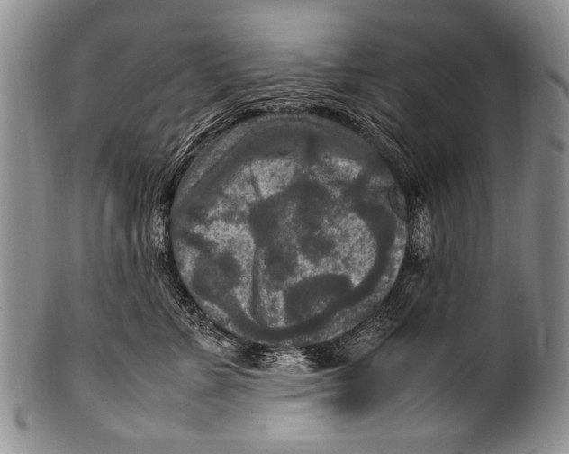 X0000100340715200806261327