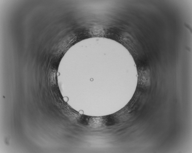 X0000100340717200806261327