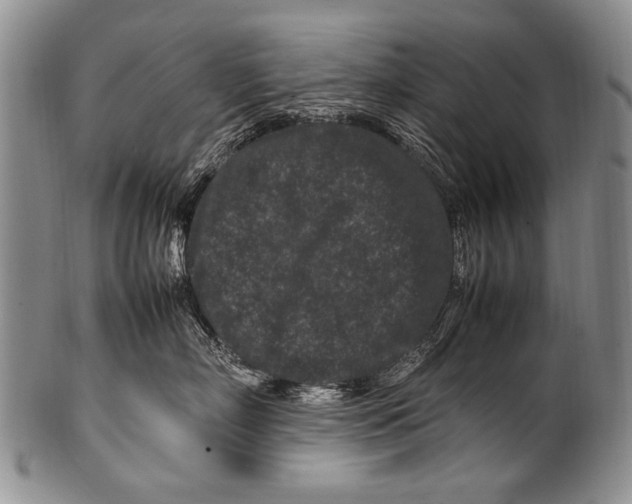 X0000100340718200806261327