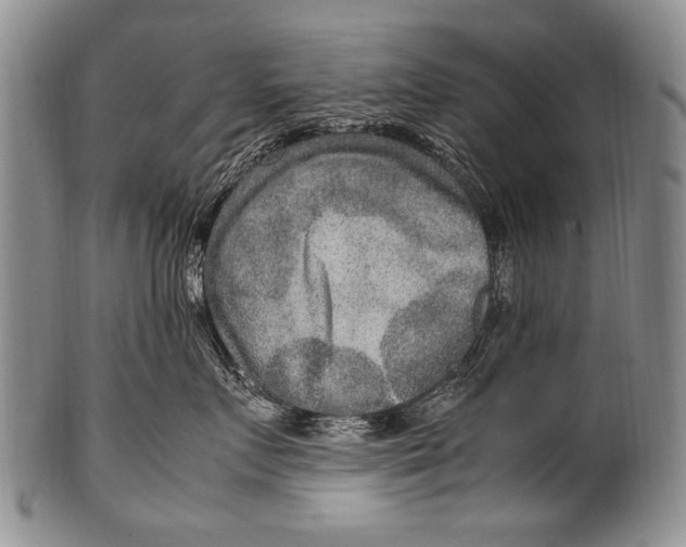 X0000100340719200806261327