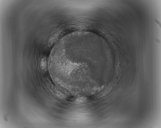 X0000100340720200806261327