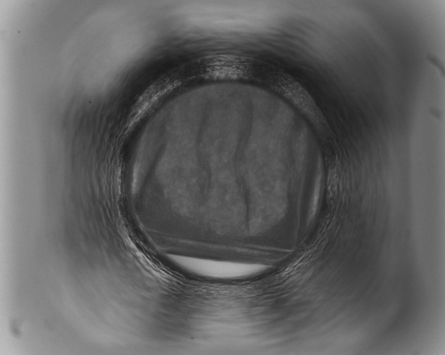 X0000100340722200806261326