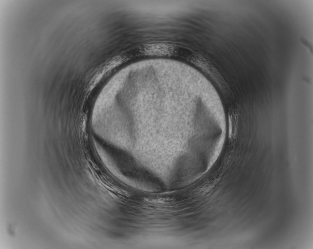 X0000100340723200806261326