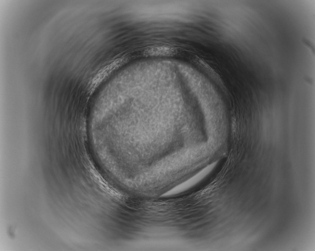 X0000100340725200806261326