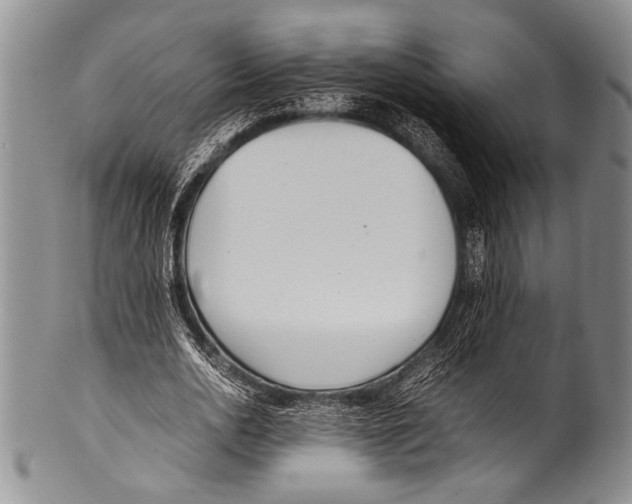 X0000100340726200806261326