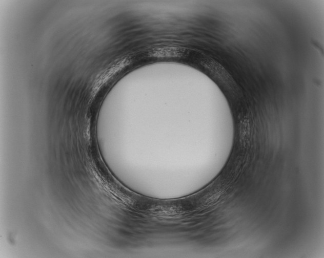 X0000100340727200806261326