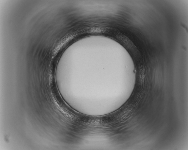 X0000100340728200806261326