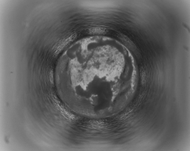 X0000100340729200806261326