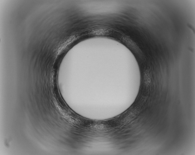 X0000100340730200806261326