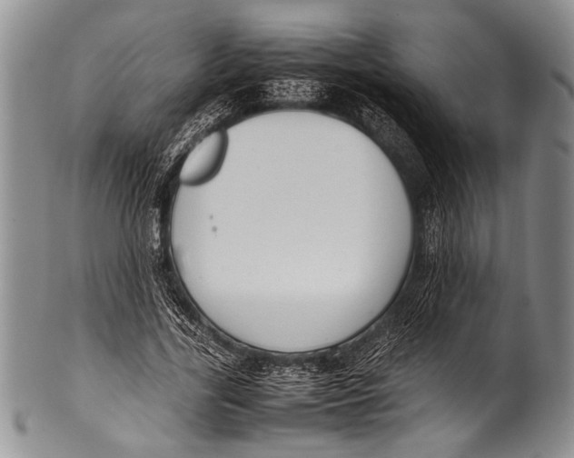 X0000100340731200806261326