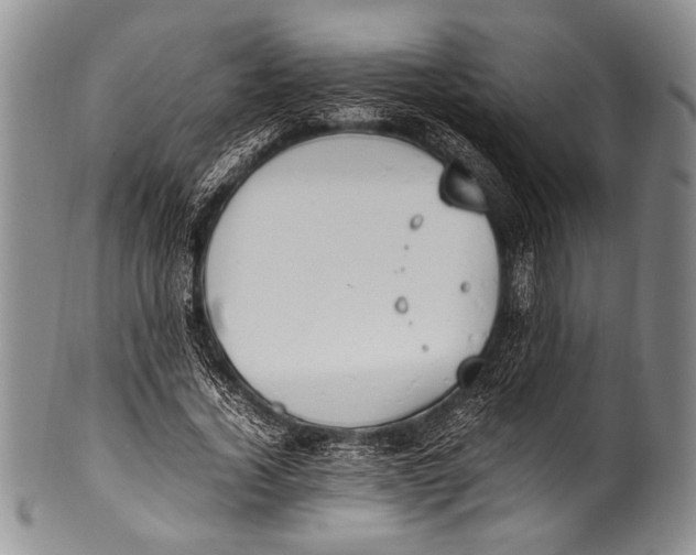 X0000100340732200806261326