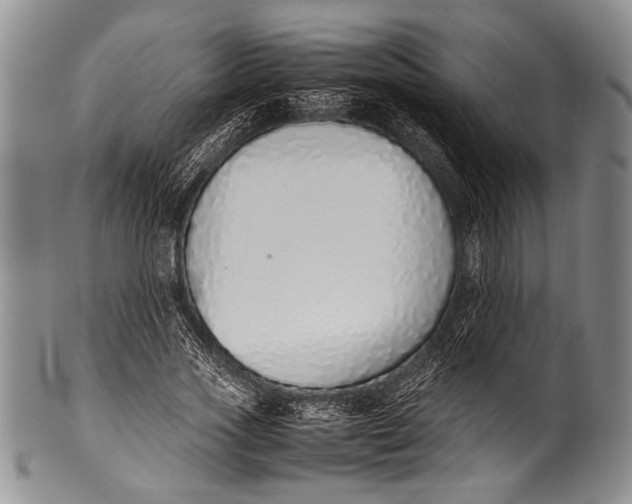 X0000100340733200806261326