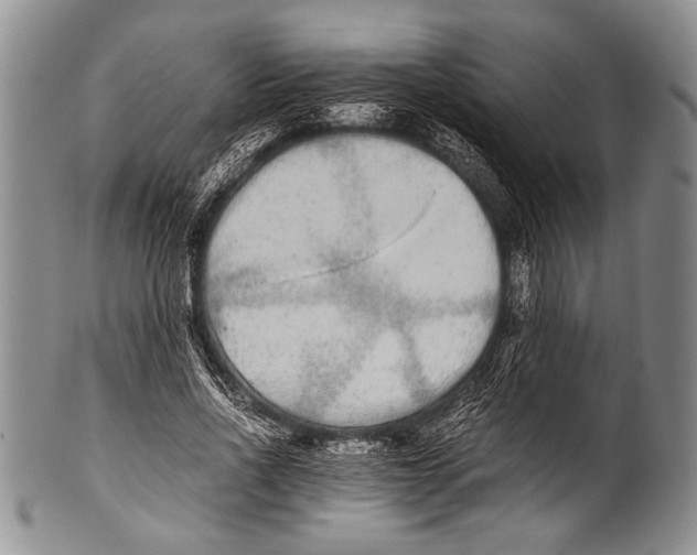 X0000100340734200806261326