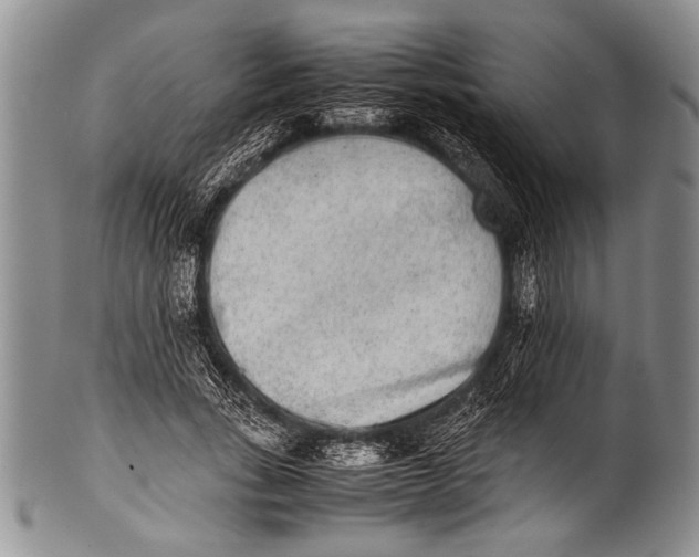 X0000100340735200806261326