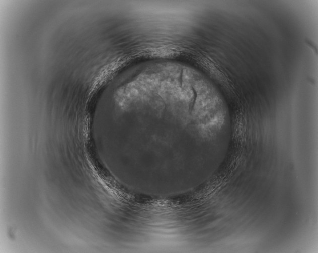 X0000100340736200806261326