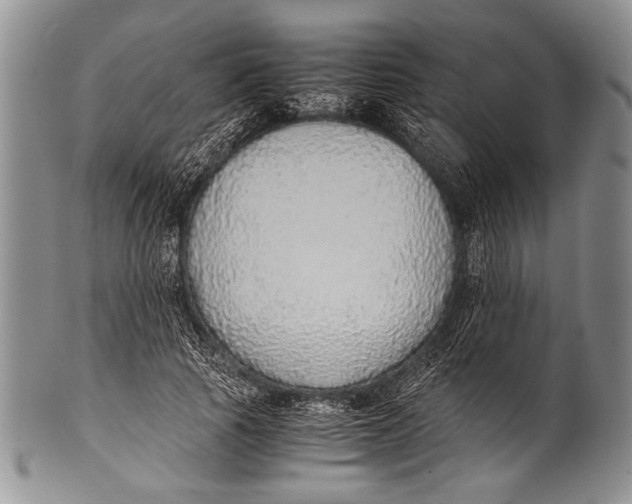 X0000100340737200806261326