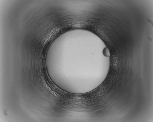 X0000100340738200806261326