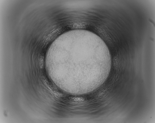 X0000100340741200806261326