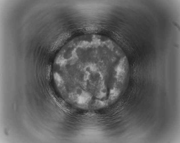 X0000100340742200806261326