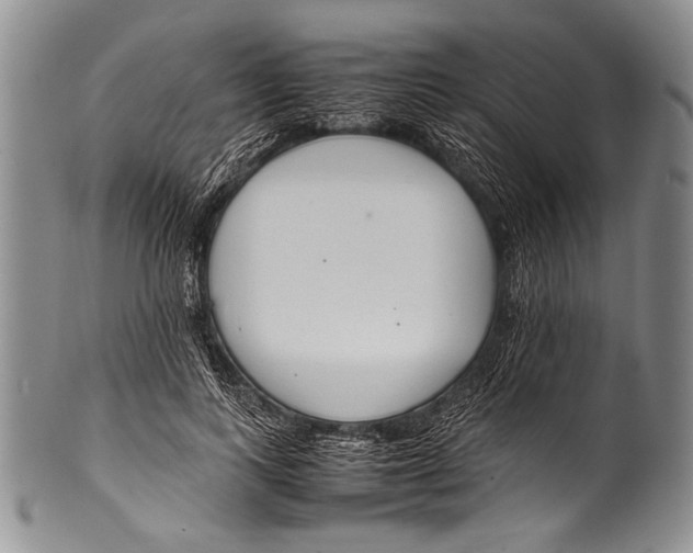 X0000100340743200806261326