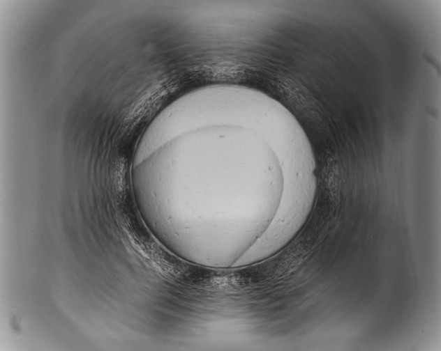 X0000100340744200806261326