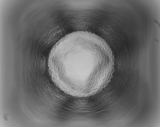 X0000100340745200806261326