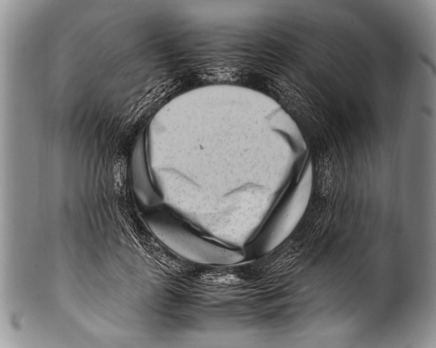 X0000100340747200806261326