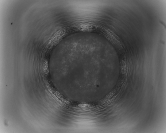 X0000100340748200806261326