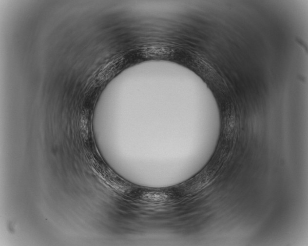 X0000100340749200806261326