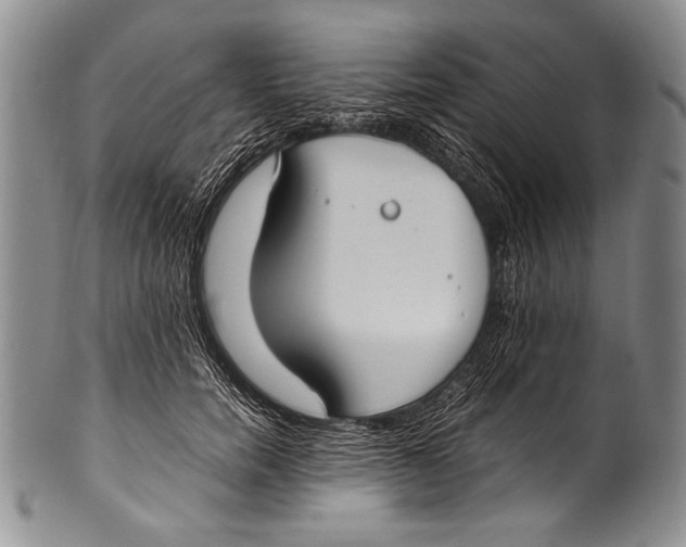 X0000100340750200806261326