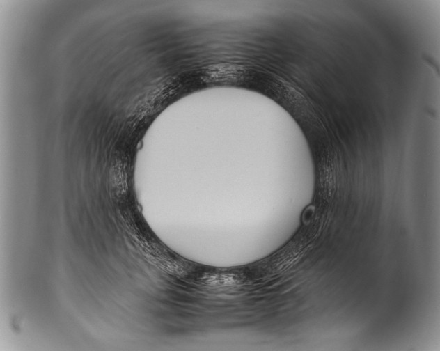 X0000100340751200806261326