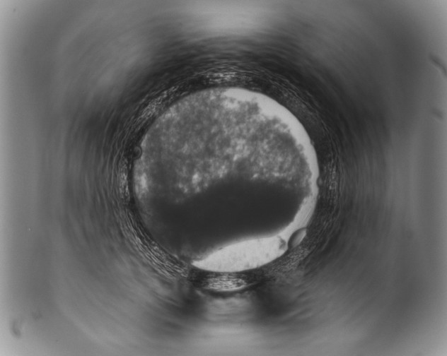 X0000100340754200806261326