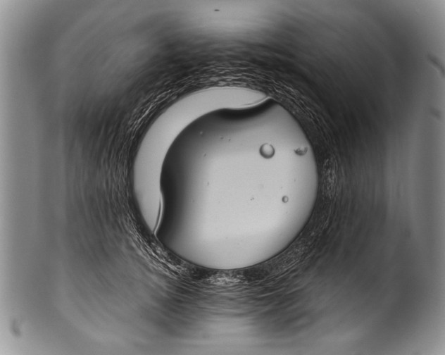 X0000100340756200806261326