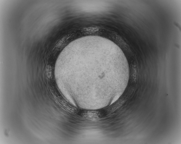 X0000100340758200806261326