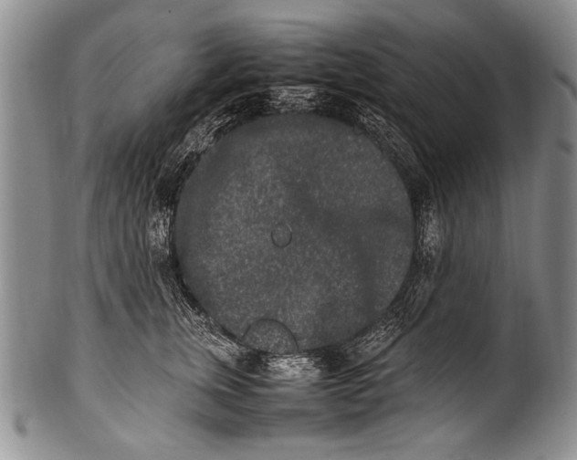 X0000100340759200806261326