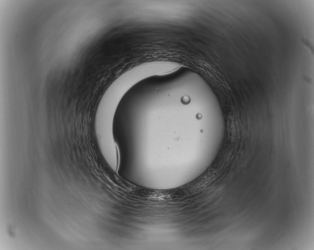 X0000100340760200806261326