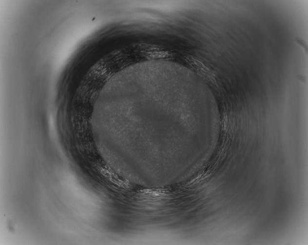 X0000100340763200806261326