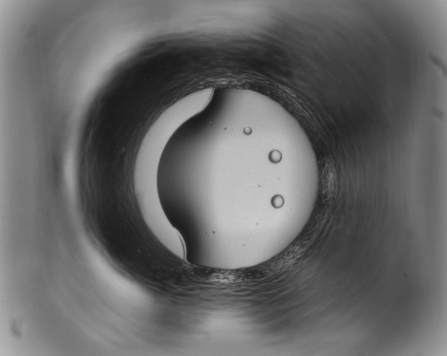 X0000100340764200806261326