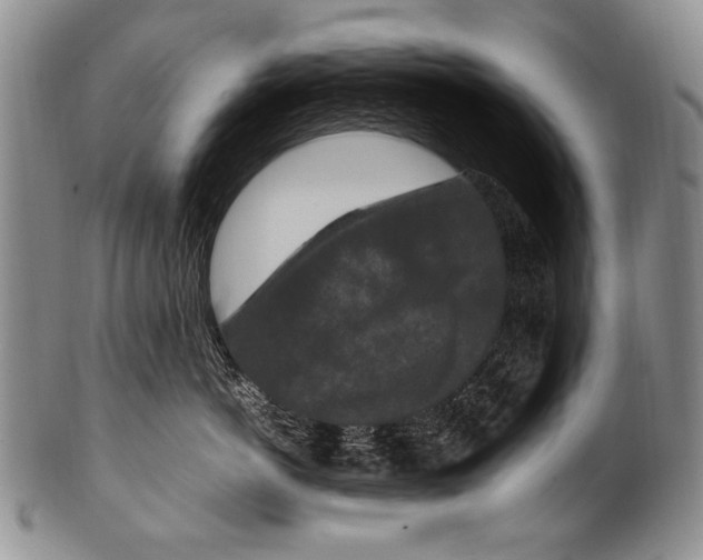 X0000100340766200806261326