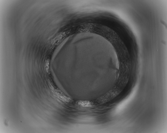 X0000100340767200806261326